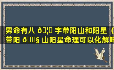 男命有八 🦉 字带阳山和阳星（带阳 🐧 山阳星命理可以化解吗）